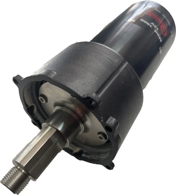 Verricelli - Motoriduttore 800W 12v per DP2E A Buon Prezzo