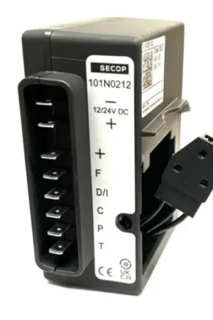 Ultime Pezzi Centralina BD35/50 12/24v + regolatore di velocità