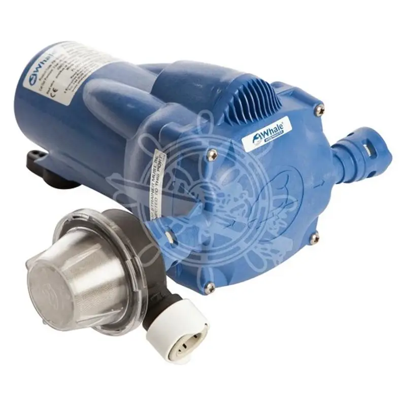 Autoclave Whale Watermaster Sconto