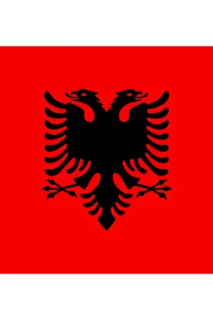 Subito Disponibile Bandiera Albania Pesante cm 20 x 30