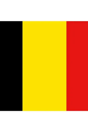 Offerta Del Giorno Bandiera Belgio Pesante cm 20 x 30