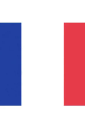 Bandiera Francia Pesante cm 30 x 45 Solo Oggi