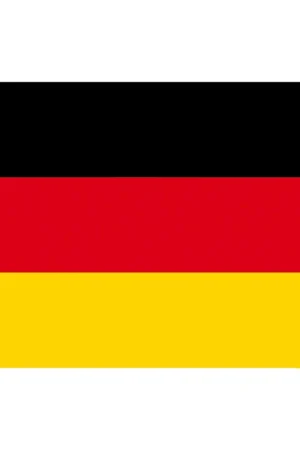 Bandiera Germania Pesante cm 20 x 30 Ultime Pezzi