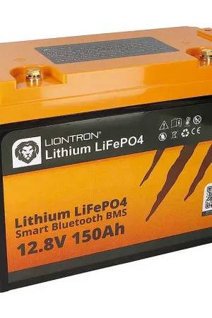 Batteria litio Liontron LiFePO4 BMS smart - 100 Ah Esclusivo