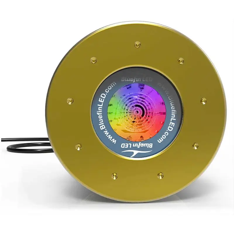 Bluefin LED Great White GW48 IFM Variazione Colore Professionale