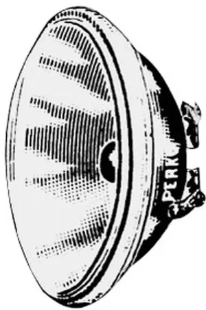 Bulbo stagno 12 V 100 W 110 mm Soddisfatti O Rimborsati