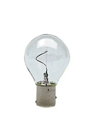 Spedito Oggi Lampadina a filamento verticale BAY15D 24V. 10W