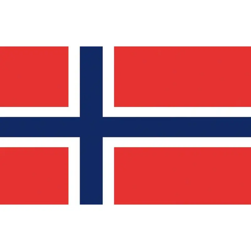 Professionale Bandiera Norvegia 30 x 45 cm in poliestere resistente con stampa a tinte indelebili per uso nautico.