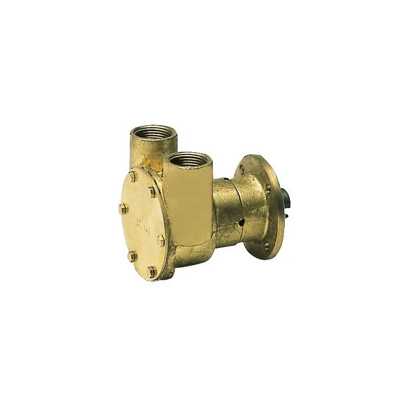 Spedizione Espresso Pompa Flangiata Nauco FPR040 in Bronzo con Giranti in Neoprene per Applicazione Diretta sul Motore - 3/4 per Barche e Nautica