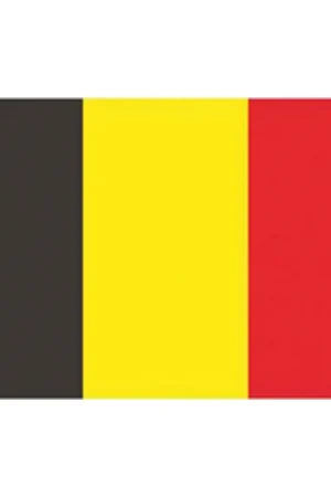 Bandiera del Belgio in Poliestere Stamina 30x45 cm - Ideale per Vela e Nautica Promozione