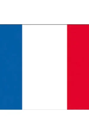 Bandiera Francia in Poliestere 100% - Dimensioni 20x30 cm - Ideale per Vela e Nautica - Adria Bandiere Non Perdere