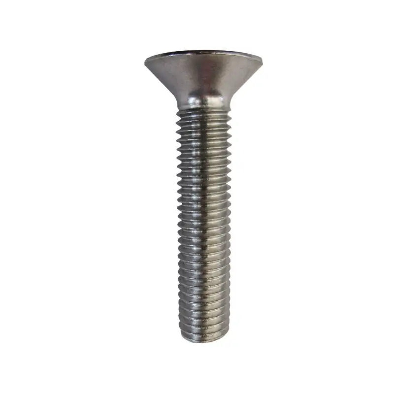 Bulloni Testa Piana Svasata con Cava Esagonale in A2 - TSPCE 6x100 mm - DIN 7991 per Vela e Nautica Offerta Speciale