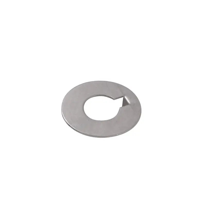 Compra Adesso Rondella di Fermo Inox Ø 60 mm Tipo Radice per Nautica e Vela - Rondella Ogiva di Alta Qualità