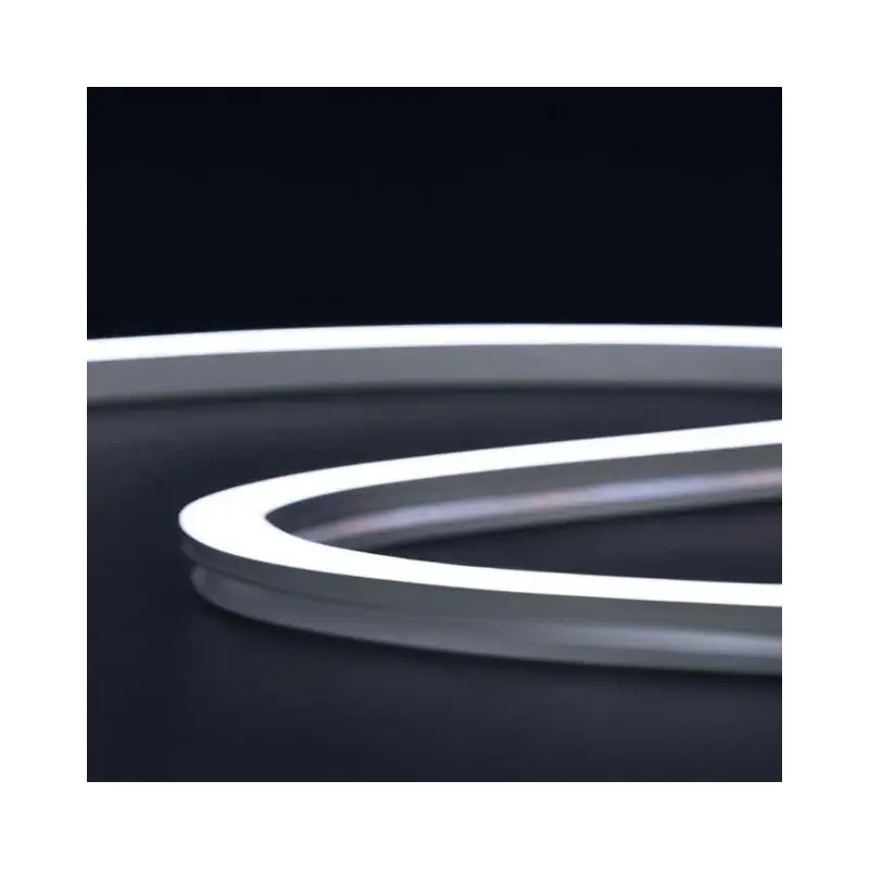 Profilo Led flessibile 5 metri Foresti e Suardi - Luminosità uniforme, 24 VDC, dimmerabile, termo-dissipante Ultimissimo Modello