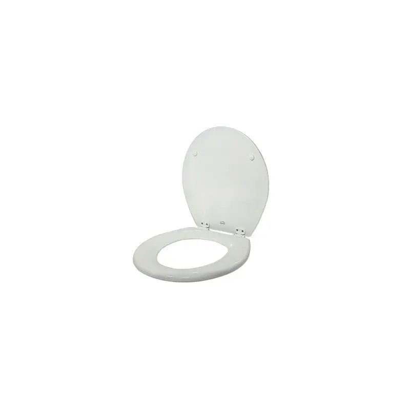 Coperchio Sedile Ammortizzato Jabsco per Toilette Nautica - Compatibile con Serie 58XX0-2, 58XX0-3, 29120-5, 37010-4, 37X45-4 (2018+) - Dimensioni 420x365 mm Professionale