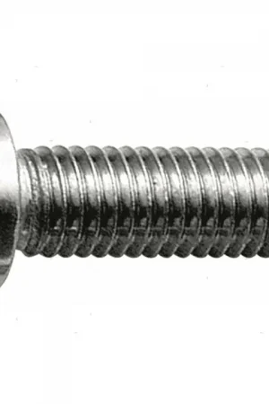 Compra Oggi Stesso Viti t.cil brugola din912 a2 m5x25 50pz