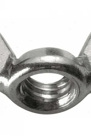 Acquista Ora Dadi c/alette din315 a2 m12 10pz