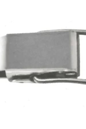 Chiusura a Leva 55x15mm in Acciaio Inox Spedizione Espresso