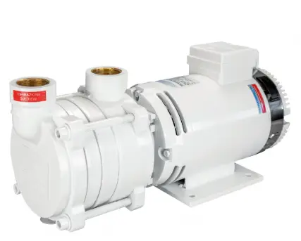 Elettropompa ACB331/2 24V Gianneschi Pump Offerta Limitata