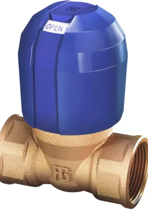 Esclusivo Valvola in bronzo 3/8