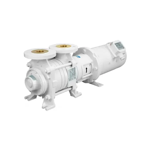 Professionale Pompa ACM311 BT 24V Gianneschi Pump