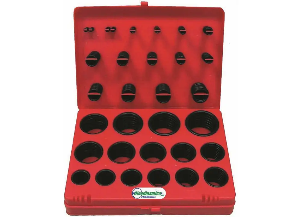 Kit o-rings bsp Occasione