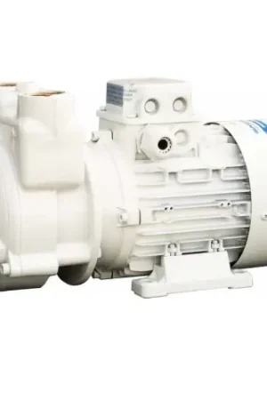 Elettropompa Gianneschi CP 30 Prezzo Basso