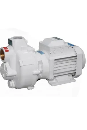 Ultime Pezzi Pompa Monoblocco BMA-M32 230V - 1.1kW Gianneschi Pump