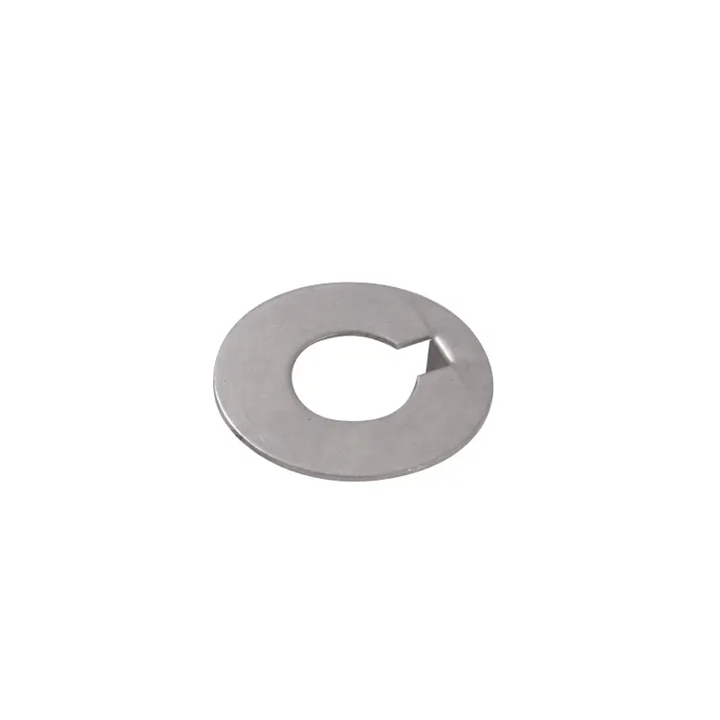 Offerta Lampo Rondella inox Ø mm.50