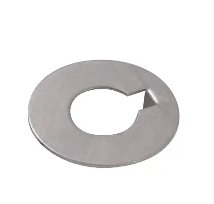 Rondella inox Ø mm.25 Quantità Limitata