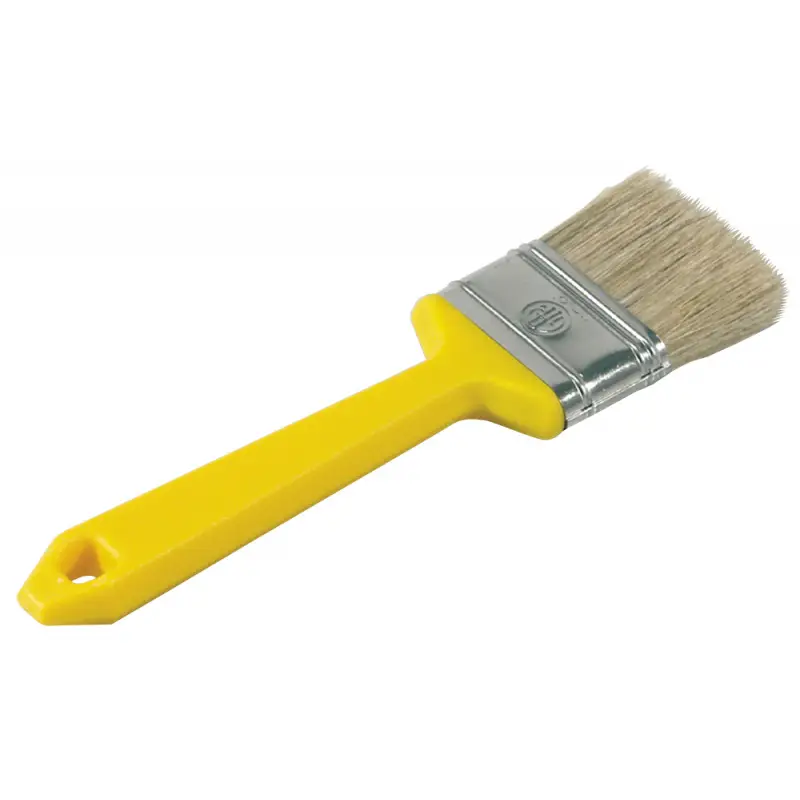 Offerta Speciale Pennellessa mm.30x15