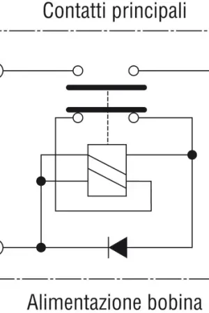 Staccabatteria automatico 24 V Ultima Occasione