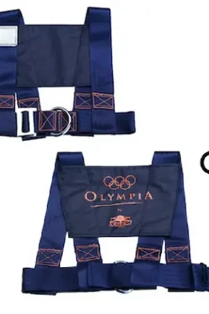 Reso Gratuito Cintura di Sicurezza Olimpia