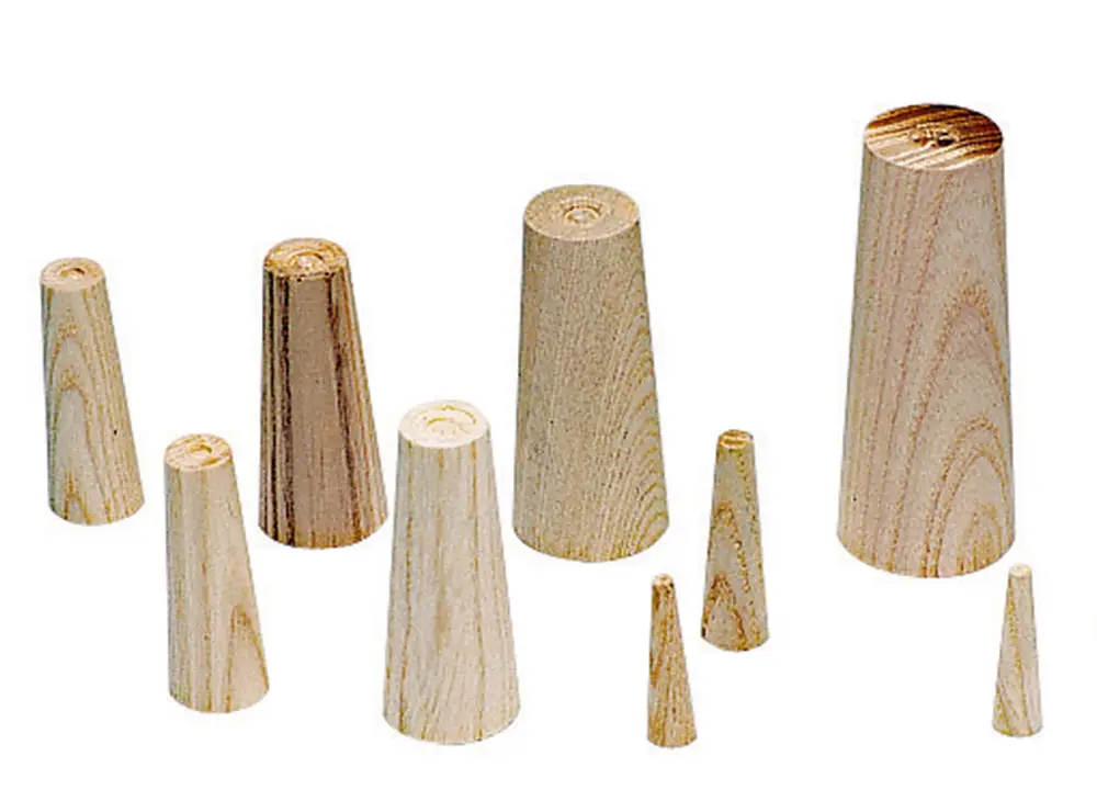 Acquista Ora Set 9 coni in legno
