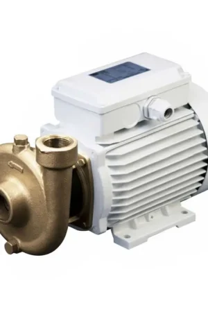Elettropompa centrifuga CEM in bronzo Ultima Occasione