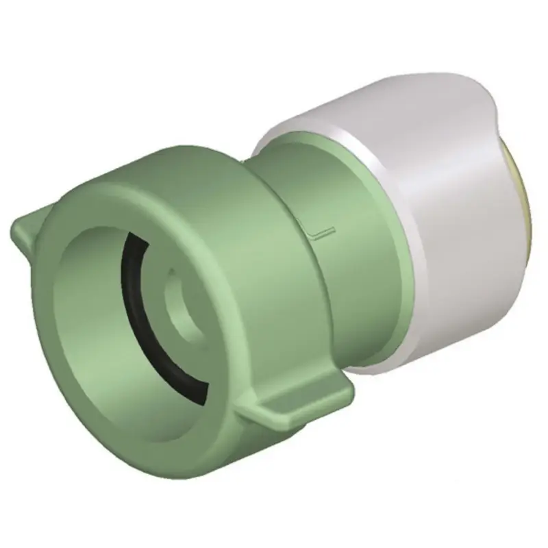 Adattatore WHALE da 3/4" BSP femmina Solo Oggi
