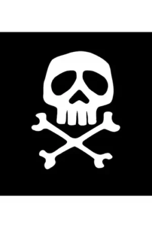 Soddisfatti O Rimborsati BANDIERA PIRATA CM.30X45
