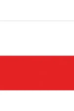 BANDIERA POLONIA CM.20X30 Professionale