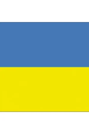 Prezzo Di Fabbrica BANDIERA UCRAINA