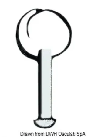 Perno inox 4x10 senza anello Novità