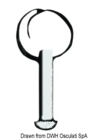 Perno inox 5x10 senza anello Quantità Limitata
