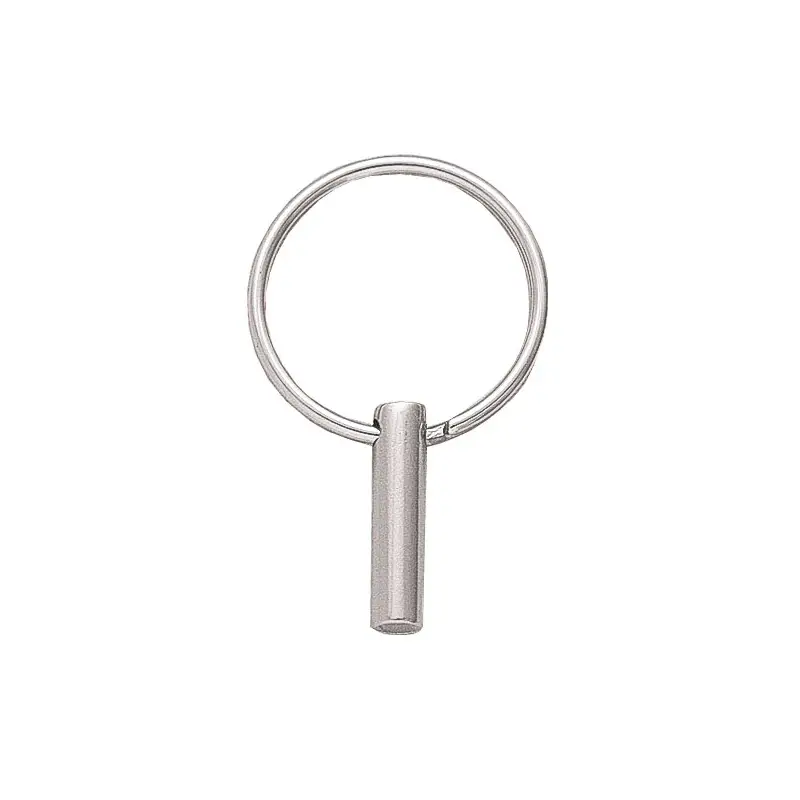 Di Tendenza PERNO IN ACCIAIO INOX Ø MM.5X25