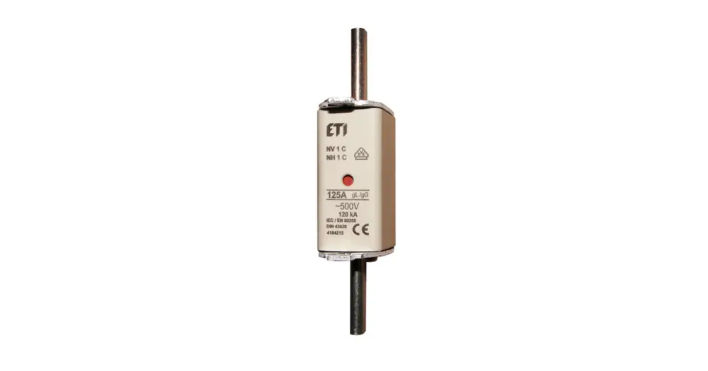 FUSIBILE 160 AMP Soddisfatti O Rimborsati