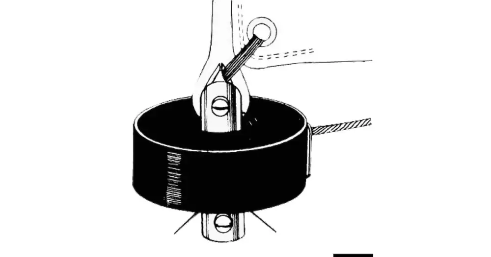Girafiocco manuale SeaSure Prezzo Di Fabbrica
