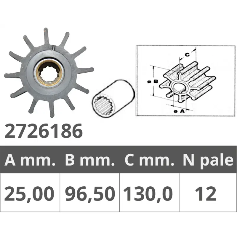 Consegna Rapida GIRANTE POMPE JOHNSON 09-0820B