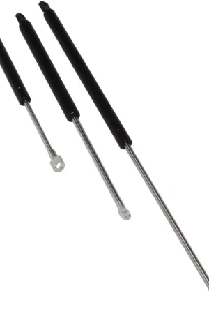 Economico Molla a gas 244 mm 18 kg