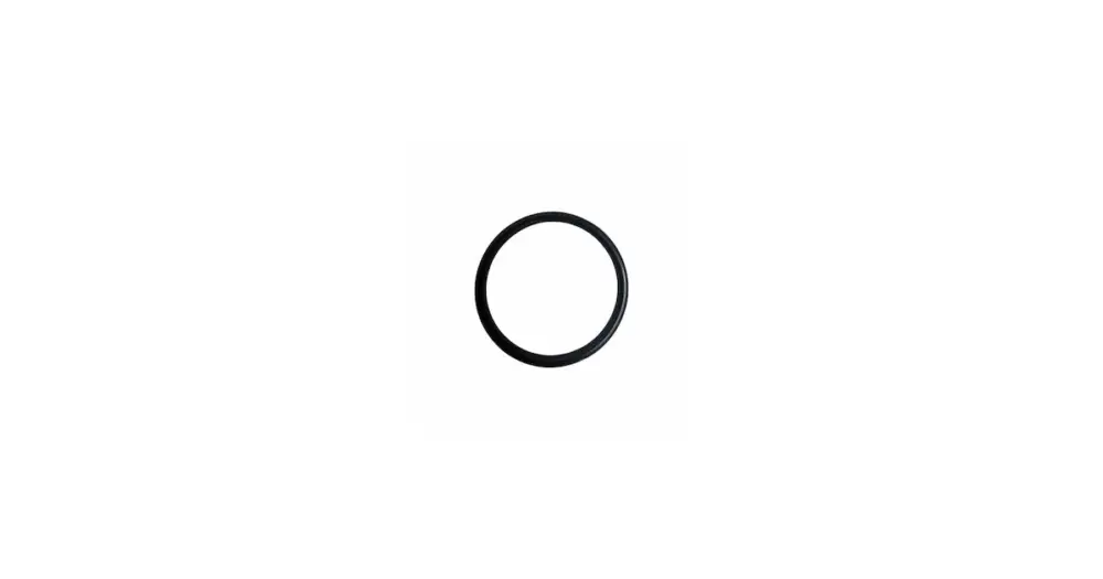 O-RING X4020-257A Prezzo Scontato