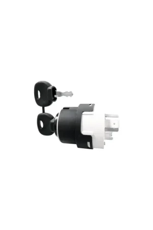 Economico Chiave di avviamento Diesel RS per motori con candelette 12/24V