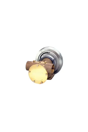Direttamente Dal Produttore Johnson F8B-5001, pompa con frizione magnetica a puleggia, bronzo, attacco 1"1/2