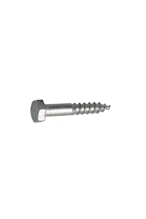 Compra Online Tirafondi testa esagonale UNI 704 DIN 571 in acciaio inox A2